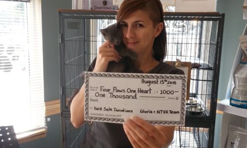 Gloria with a kitten and a Four Paws One Heart cheque