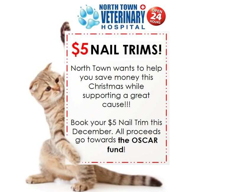 North Town Veterinary Hospital $5 Nail Trims poster