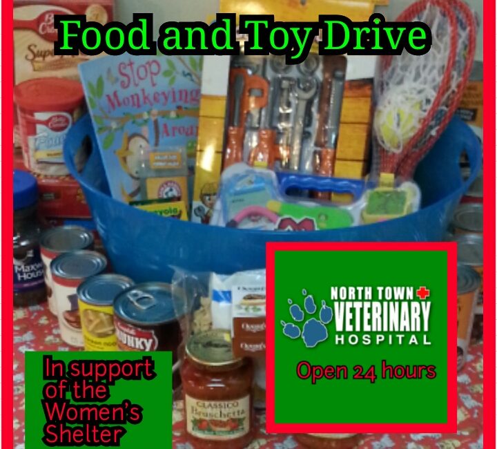 Food and Toy Drive poster
