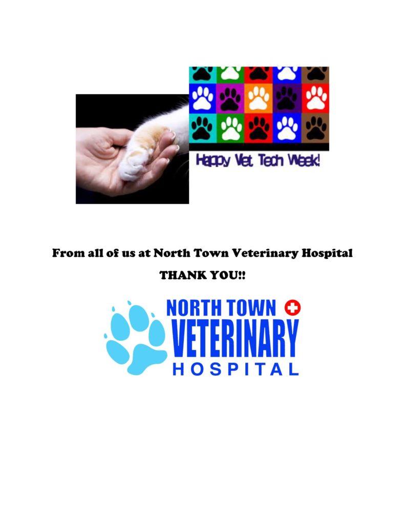From all of us at North Town Veterinary Hospital
