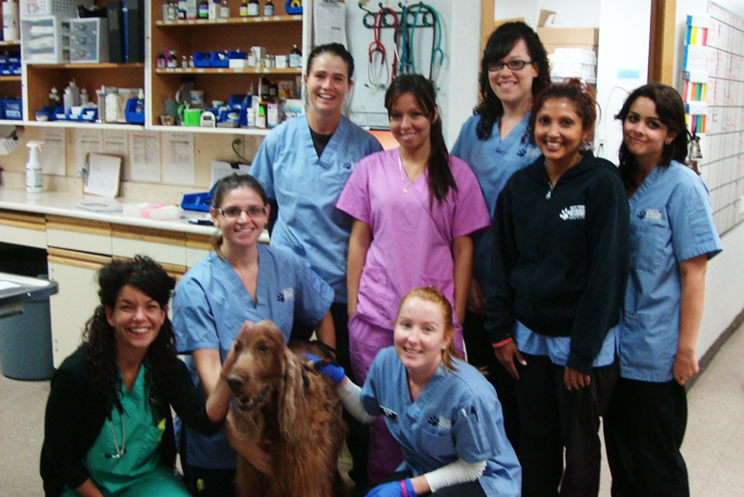 Lucy the dog with North Town Veterinary Hospital staff