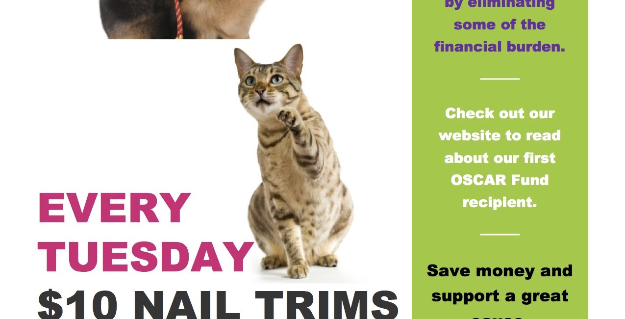 $10 Nail Trim Tuesdays poster