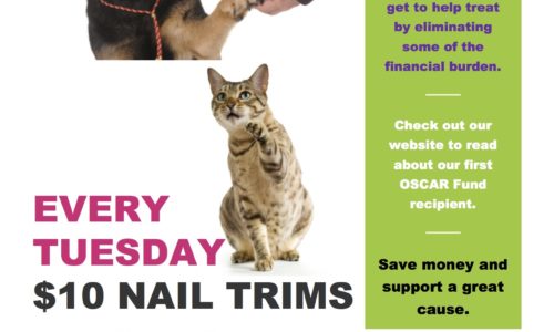 $10 Nail Trim Tuesdays poster