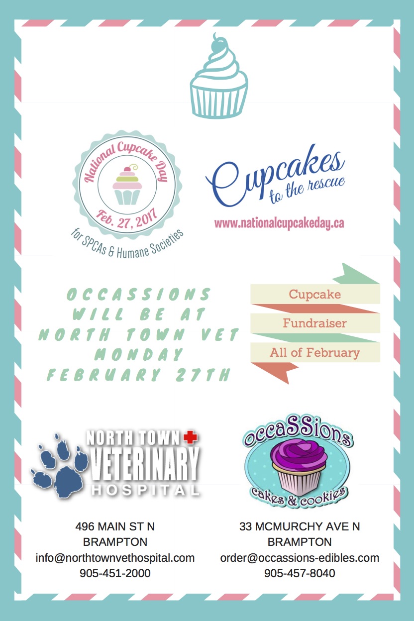 National Cupcake Day flyer