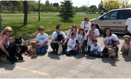 The Purina Walk for Dog Guides 2015 participants