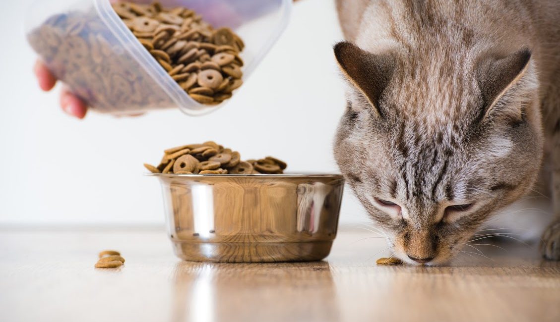 by products in pet food