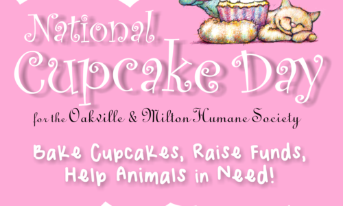 North Town Veterinary Hospital National Cupcake Day poster