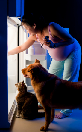 Pregnant woman with cat and dog looking into a fridge