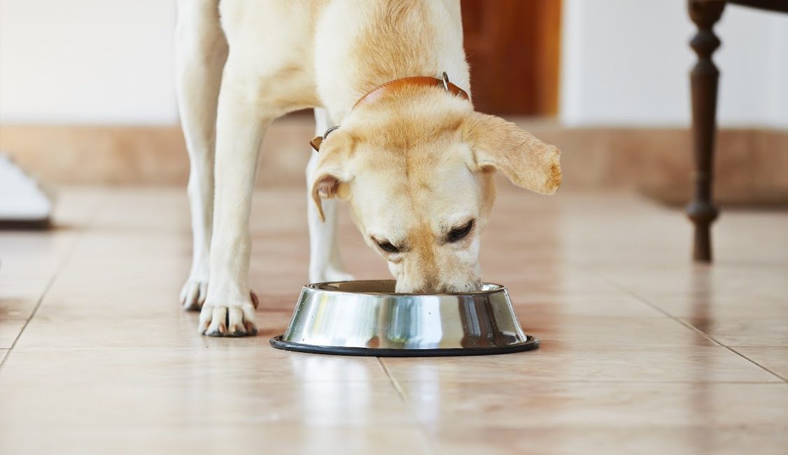 pet food and nutritional facts