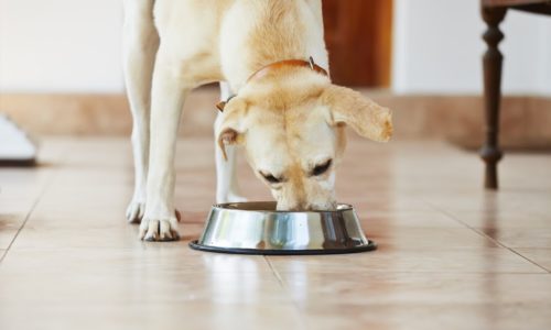 pet food and nutritional facts