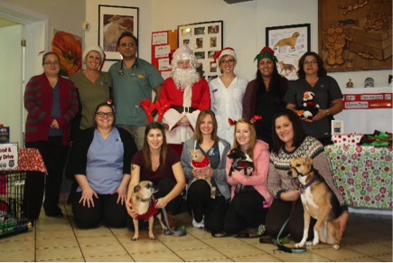 A Year of Giving at our Veterinary Hospital - North Town Veterinary Hospital