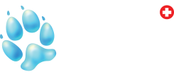 logo of north town veterinary hospital in brampton ontario