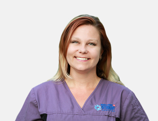Angie Waters Clinic Manager, Registered Veterinary Technician at North Town Veterinary Hospital